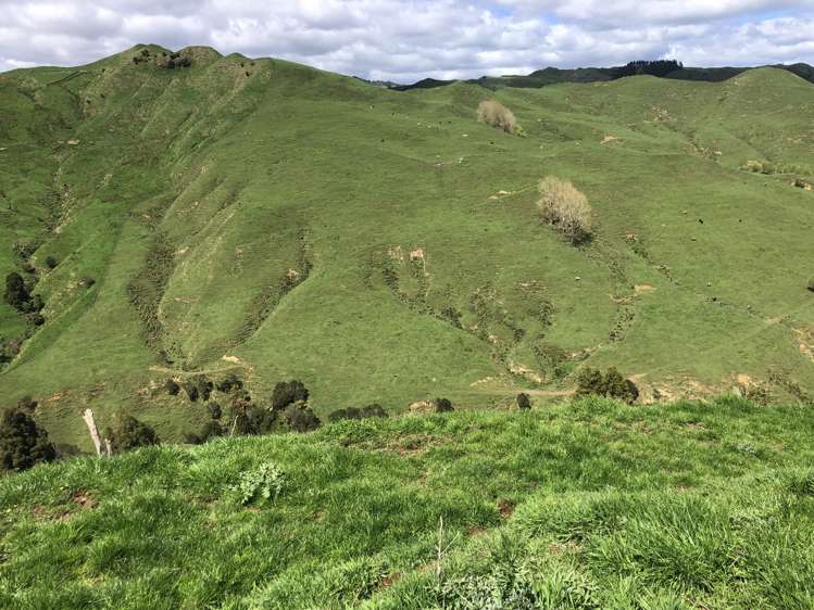 1041 Paparoa Road Whanganui National Park_19