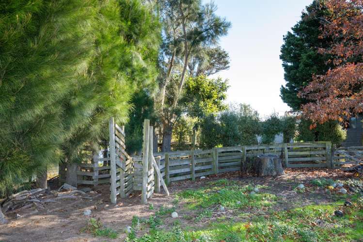 541 Napier Road Mangateretere_9