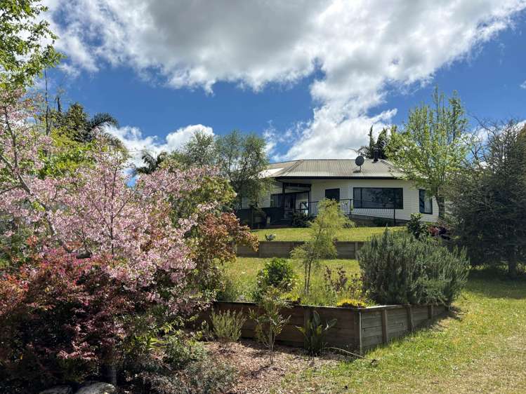 1 Palm Drive Kerikeri_36