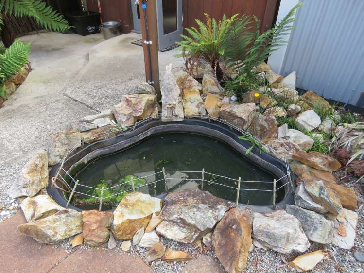 24 Adderley Street Westport_23