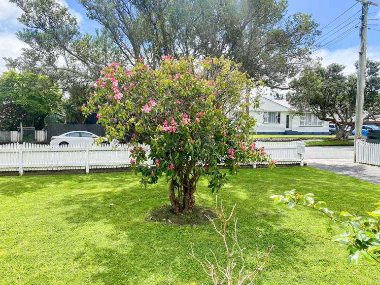 3 Galway Street Waterloo_14