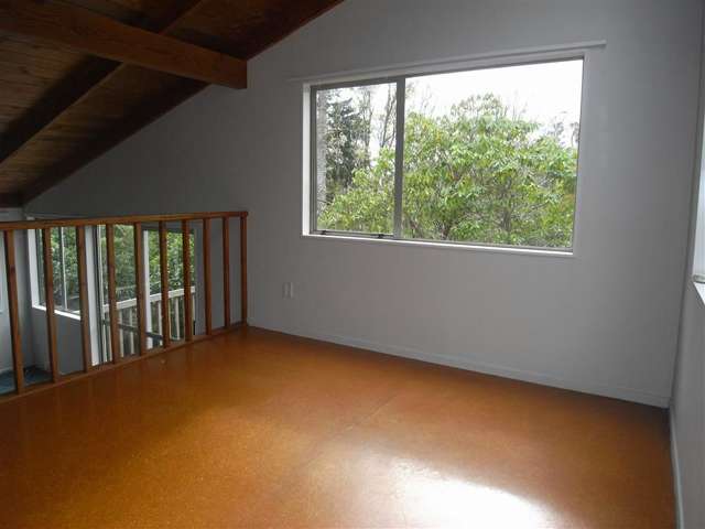 36a Cradock Street Avondale_4