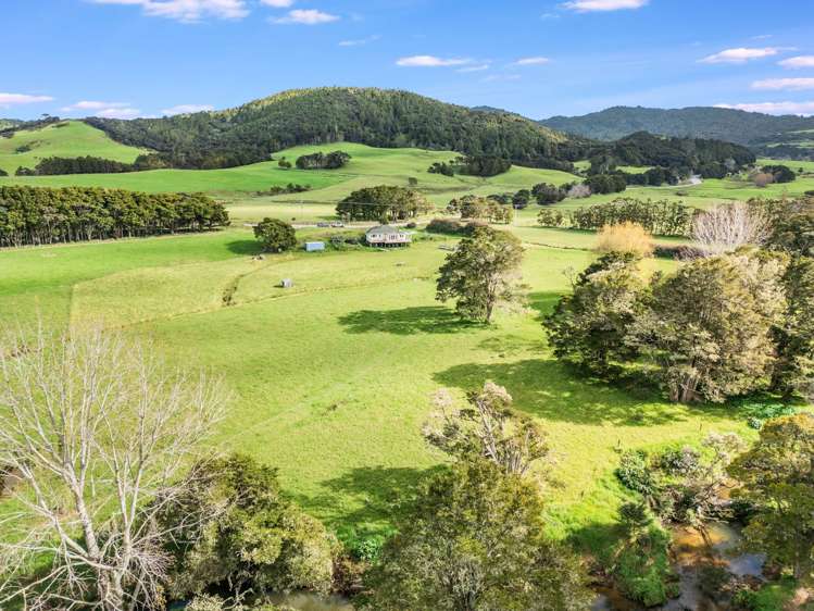 444 Brown Road Kaiwaka_17