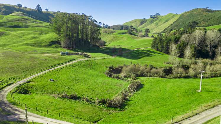 Coates Road Waikite Valley_4
