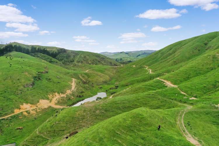 Thompsons Road Pahiatua_5