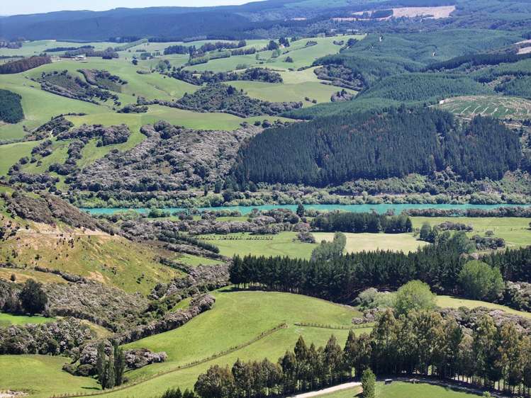 202 Kononi Road Tuapeka West_7