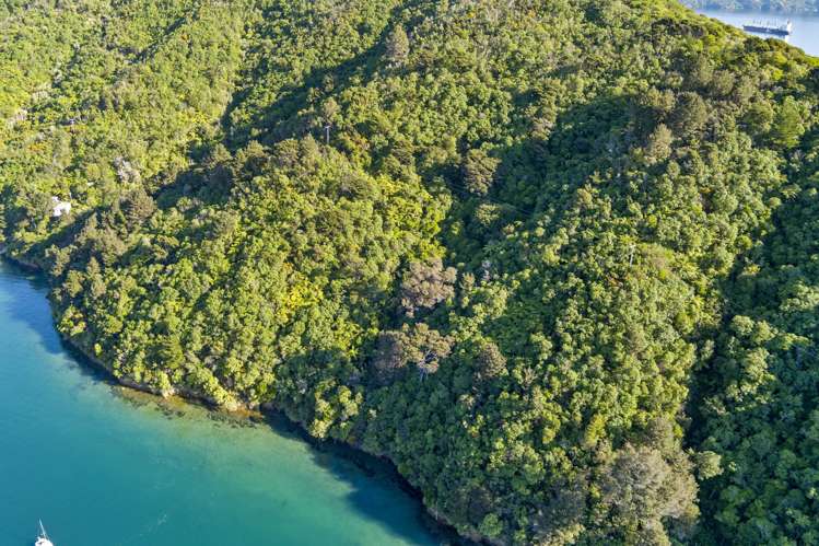 The Snout Waikawa Bay Picton_10