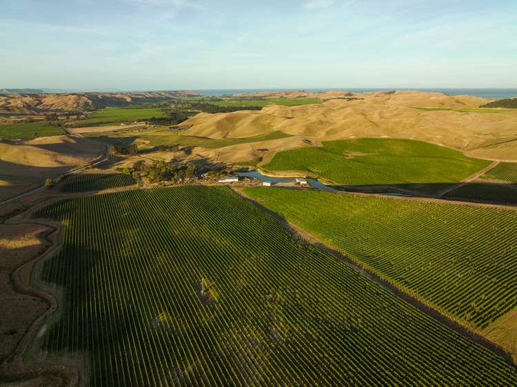 217 Caseys Road Seddon_6