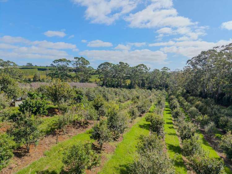 89 Conifer Lane Kerikeri_26