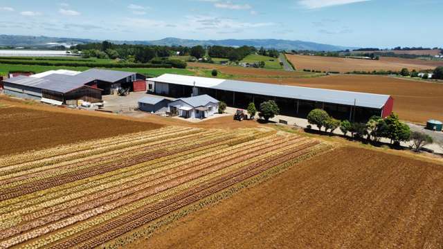 29 Dazeley Road Puni_1