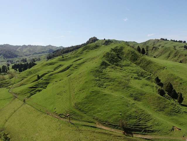 167 Whenuakura Road Waimiha-Ongarue_4