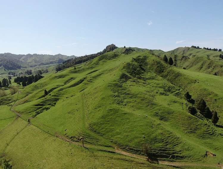 167 Whenuakura Road Waimiha-Ongarue_4