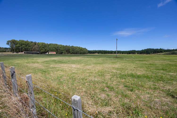 590 Brandon Hall Road Bulls_24