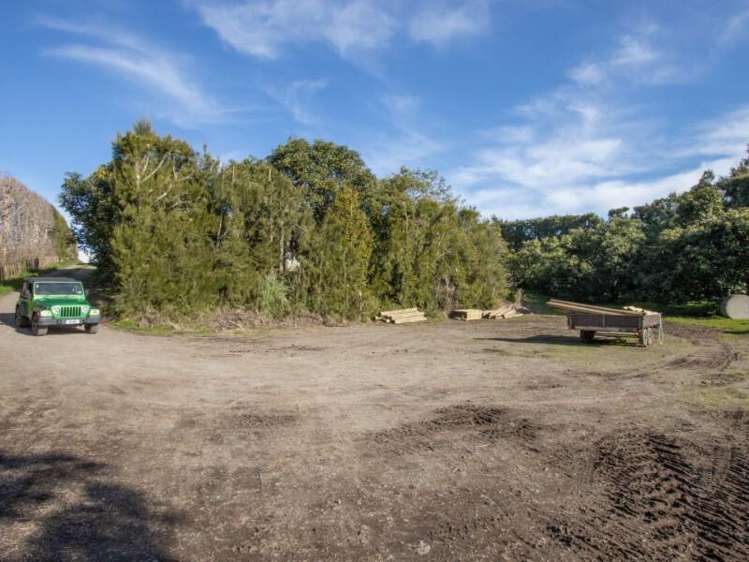 229 Walford Road Katikati_8