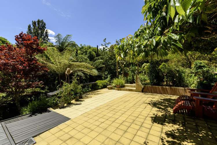 480B Youngson Road Whakamarama_10