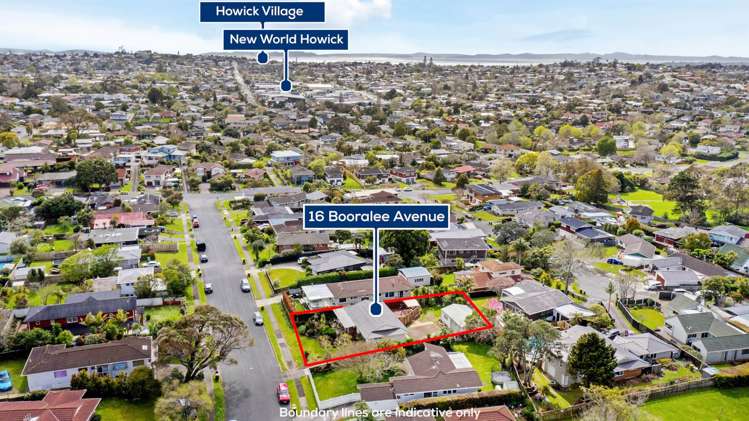 16 Booralee Avenue Botany Downs_4