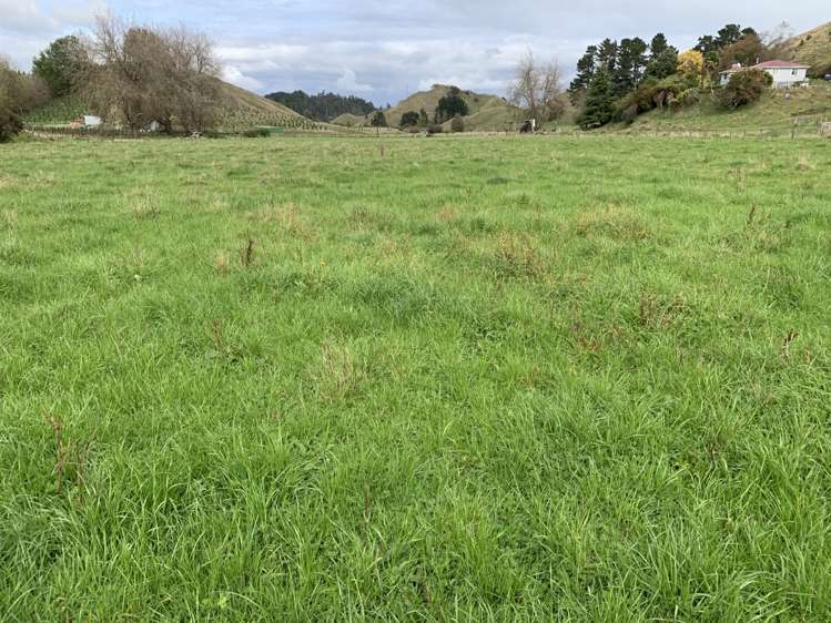 138 Quarry Road Stratford_12