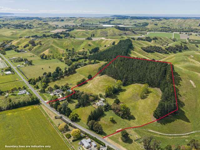 564 Swamp Road Puketapu_1
