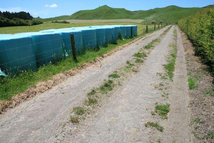 145 Bayly Road Huinga_20