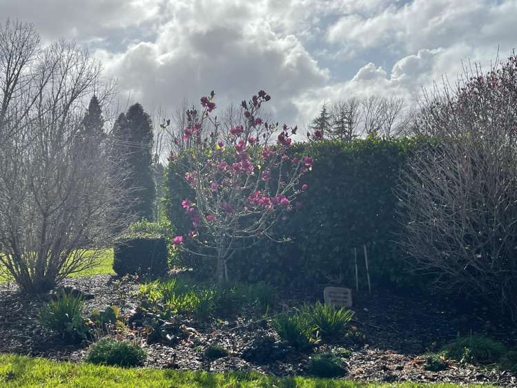 74 Beaver Road Pukekohe East_30