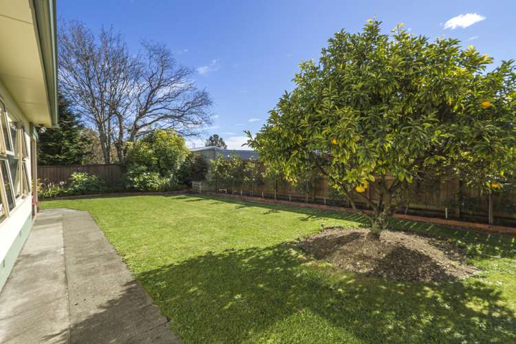 222 Nayland Road Stoke_18