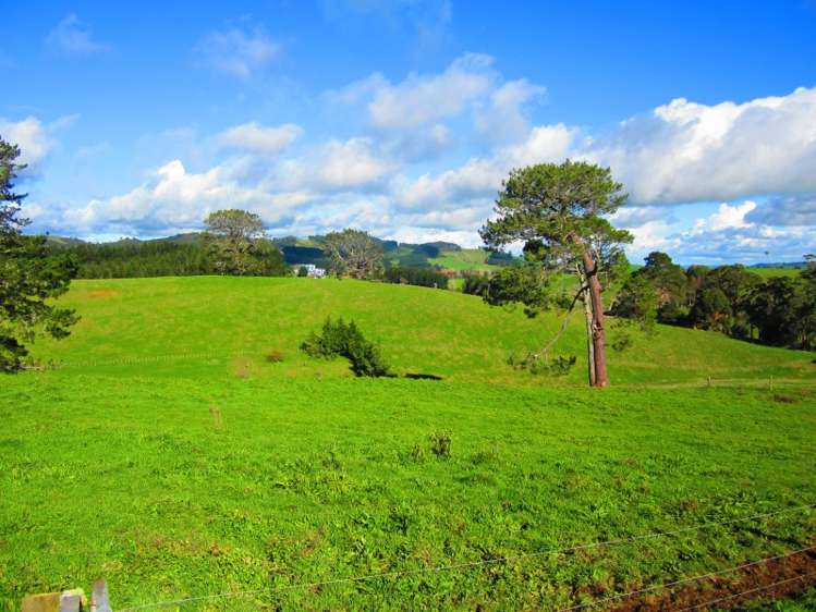 559 Kaiaua Road Mangatangi_21