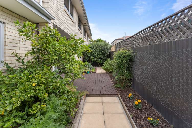 74a Huxley Street Sydenham_19