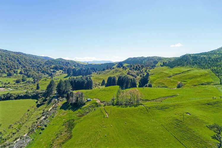 1271 Rakauroa Road Matawai_4