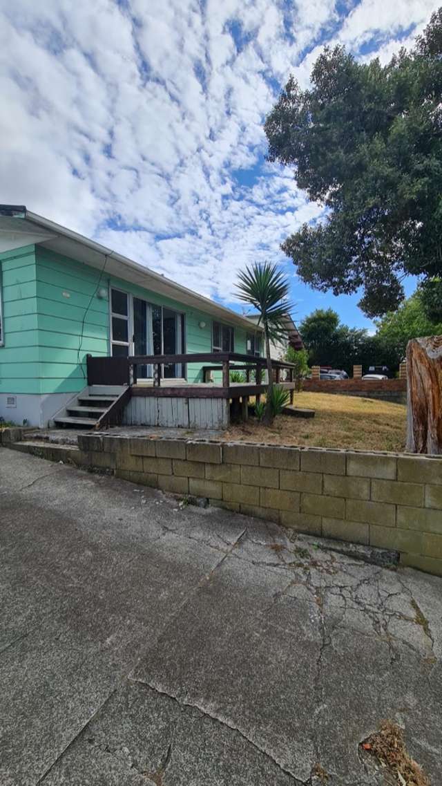 288 Buckland Road Mangere East_2