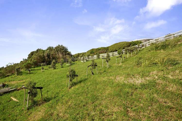 125 Woodman Drive Tawa_29