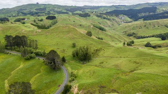 20ha,/664B Kairakau Road Elsthorpe_1