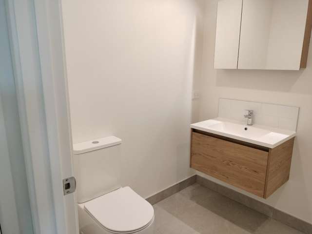  13 Parehua Street Mount Wellington_3