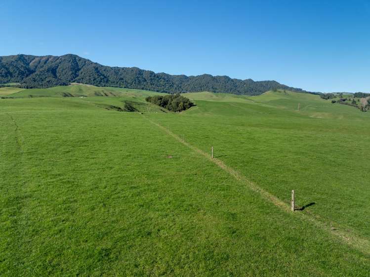 134 Old Te Aroha Road Te Poi_27