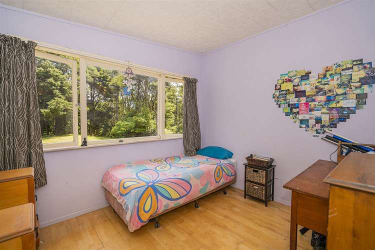 1959 The 309 Road Kaimarama_10