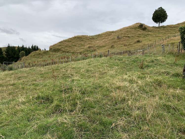 30 Heao Road Pohokura and Surrounds_20