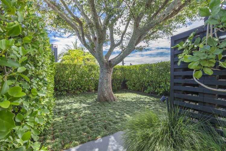 83 Kelmarna Avenue Ponsonby_6