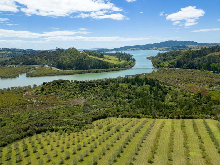 125A Frantoio Ridge Road Mangonui_31