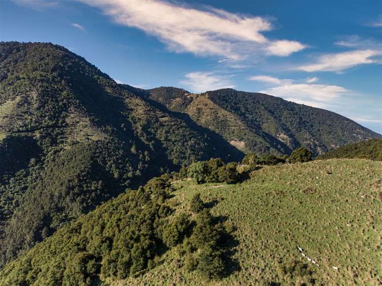 184 Blue Duck Valley Road Seaward Valley_12