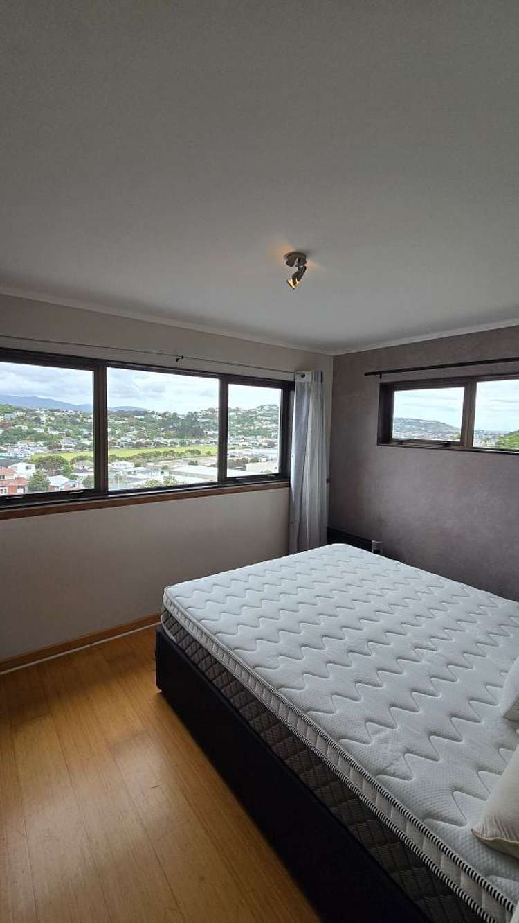 77A Miramar North Road Miramar_6