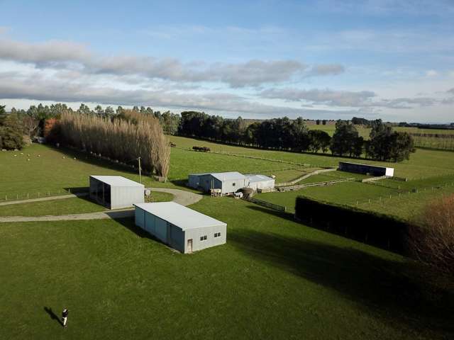 748 Makarewa Browns Road Ryal Bush_1