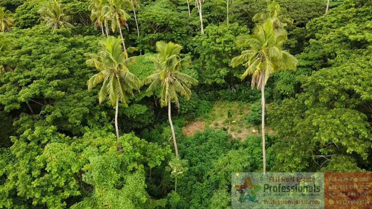 Address withheld Taveuni_10