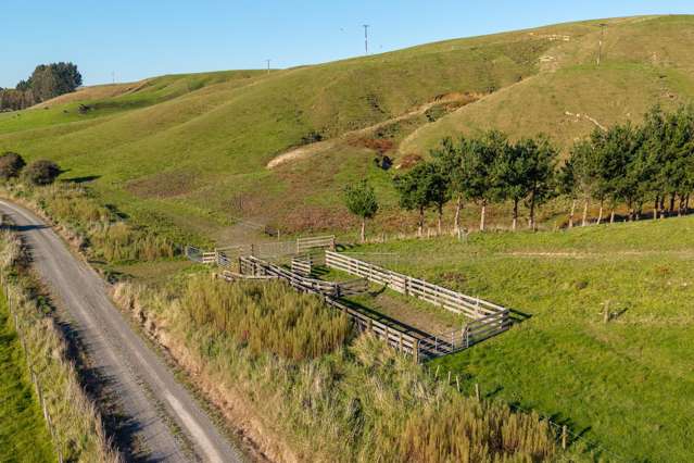 Ridge Road North Pahiatua_3