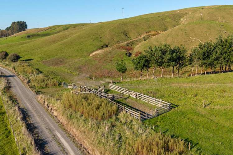 Ridge Road North Pahiatua_3