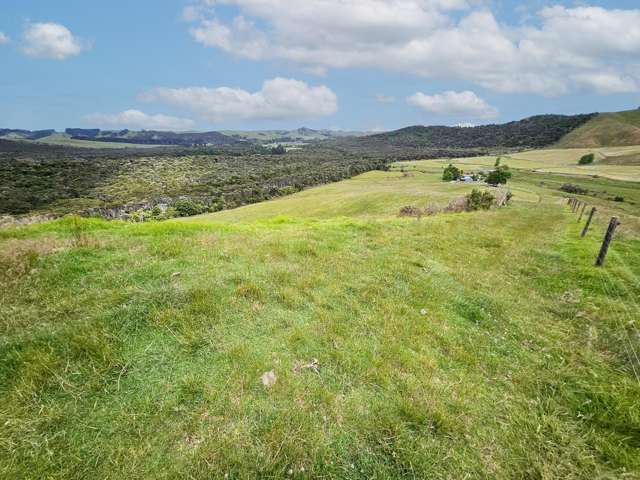 Lot 1, 36 Te Moho Road Taipa_1