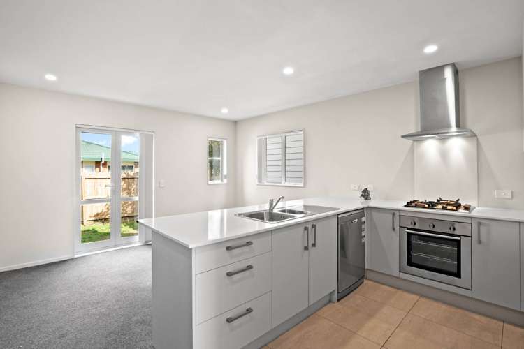 31 Tribute Loop Takanini_5