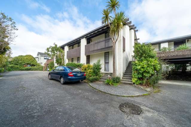 141J Churton Drive Churton Park_1