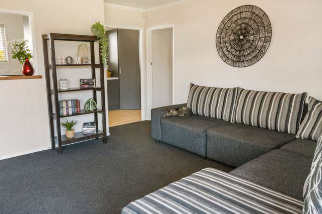 18 Joanne Crescent Pukehangi_4