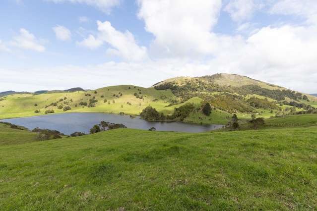 1557 Waihue Road Dargaville Surrounds_1