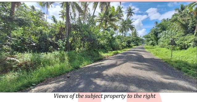 Lots 1,2,6 2, Navorau Estate Savusavu_2