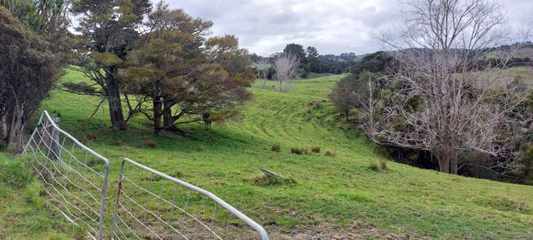 Lot/5 Wearmouth Road Paparoa_10